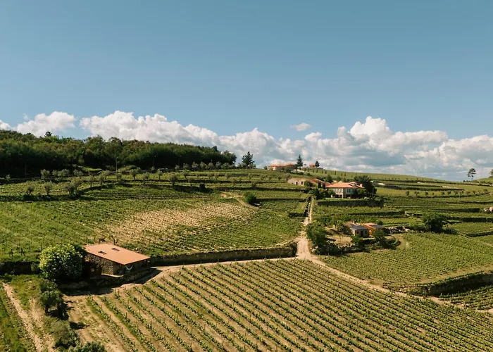 Quinta Da Portela - Casa Visconde Arneiros - By Rowdhouses Lamego