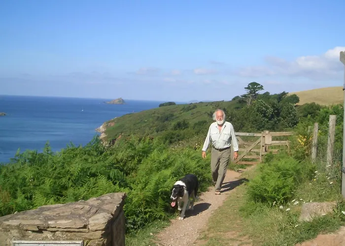 Churchwood Valley Wembury