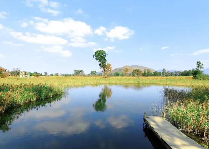 Hotel Cozi Wetland