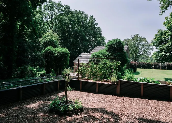 Hotels in Well (Limburg)