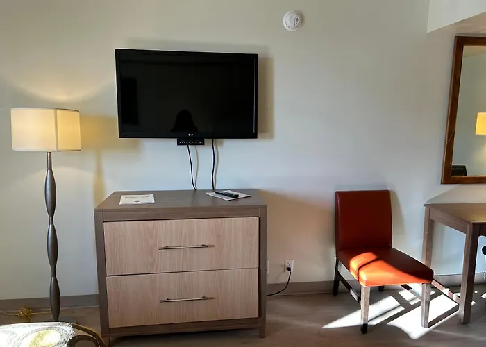 Studio Apartments