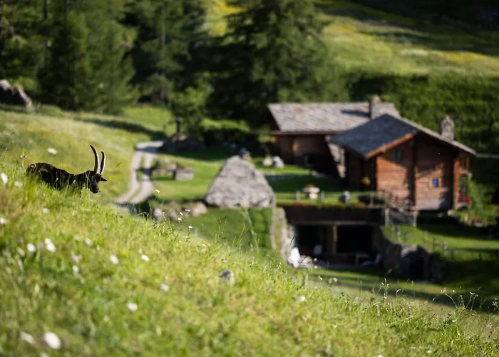 Hotellerie De Mascognaz Champoluc