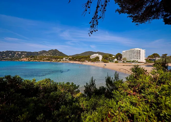 Hotels in Canyamel (Mallorca)