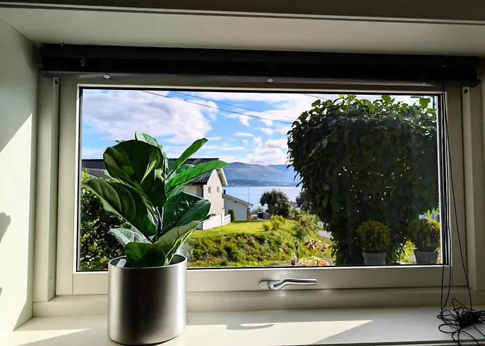 Aurora Rooms In Shared Apartment Nr1 We Are Doing Privet Northen Light Trip, Reindeer Trip And Sommaroy Fjord Trip