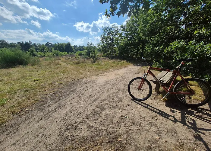 Chalet op de veluwe