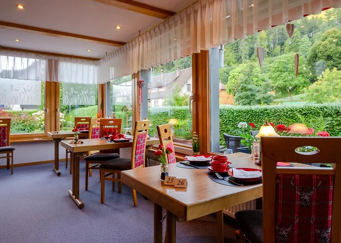 Hotel am Kurpark Todtmoos