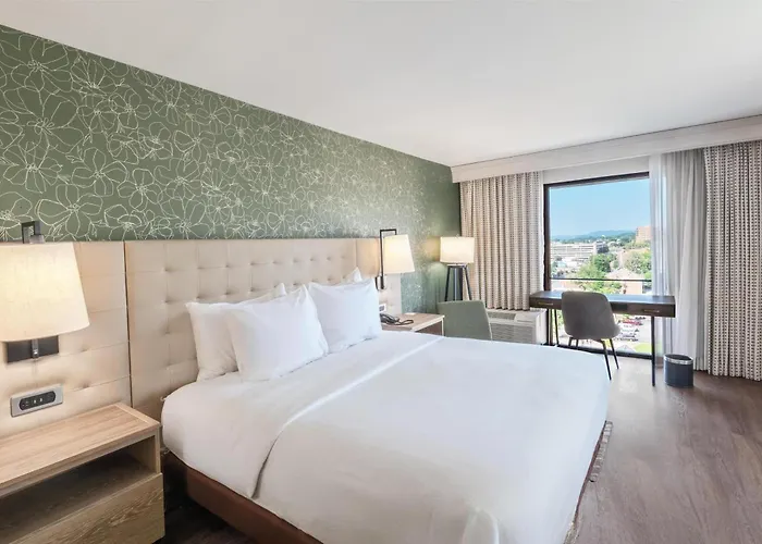 Hilton Birmingham Downtown At Uab Hotel