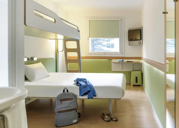 Ibis budget Orléans Sud Comet