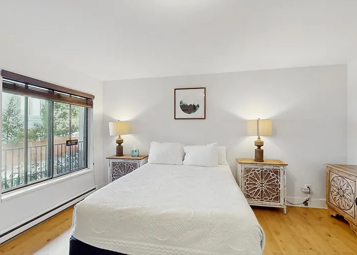 Telluride Town Jewel Apartment