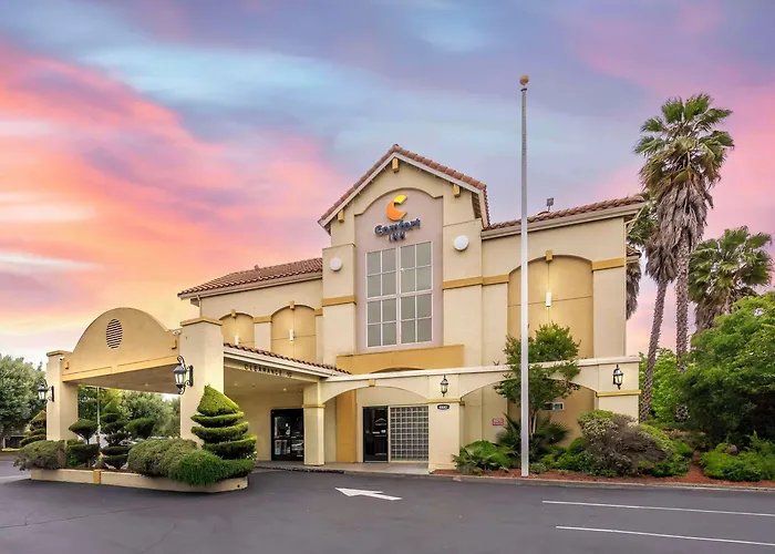 Comfort Inn Fairfield Napa Valley Area Cordelia