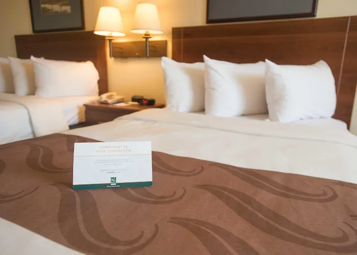 Quality Inn At Town Center Beaufort