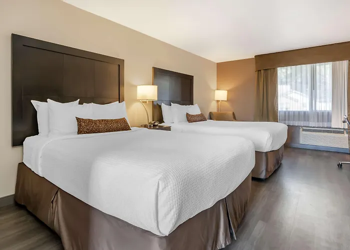 Best Western Inn Of Vancouver