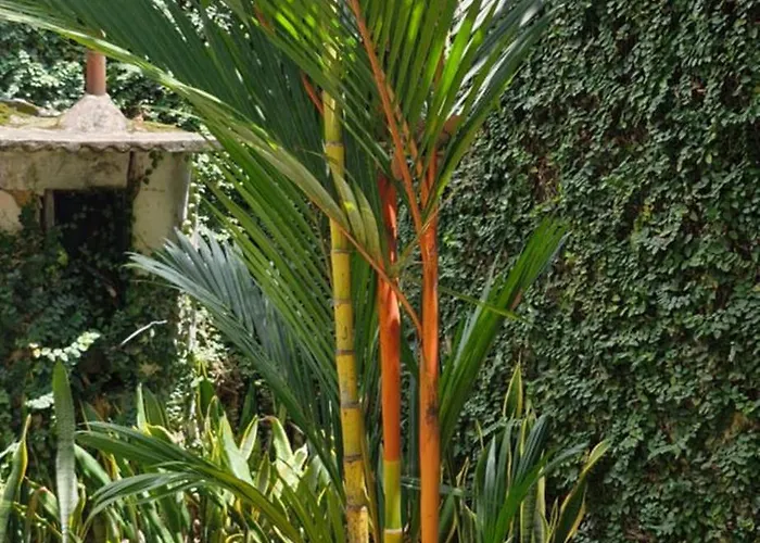 Ecopousada Miriti