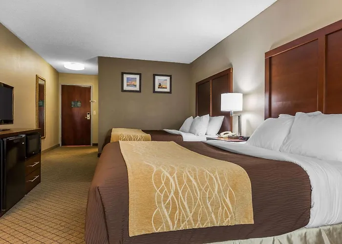 Comfort Inn & Suites Mishawaka-South Bend