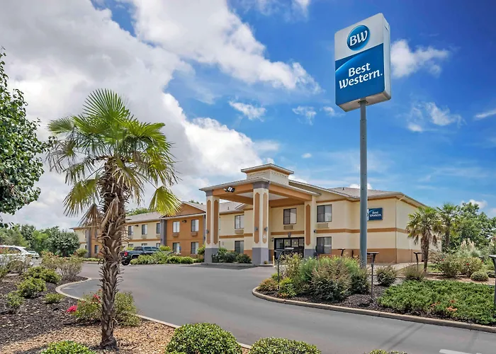 Best Western Canton Inn