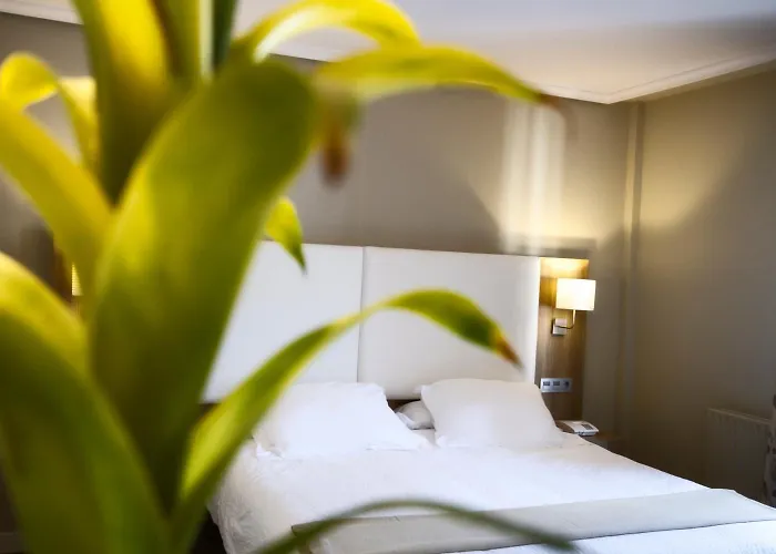 Hotel Los Lagos Nature