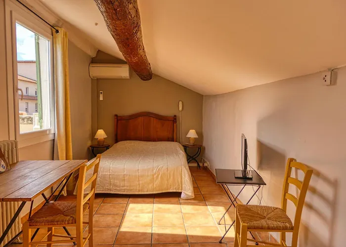 Au Saint Roch - Hotel Et Jardin Avignone