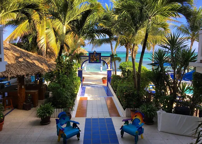 Blue Tang Inn - Beachfront Suites And Pool San Pedro 