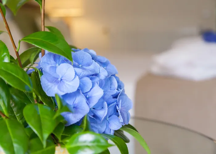 Sao Miguel Park Hotel Ponta Delgada