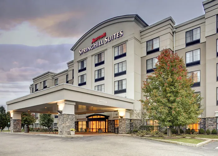 Springhill Suites By Marriott Wheeling Triadelphia Area
