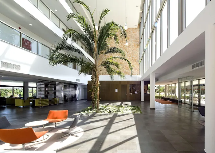 Pelican Alvor