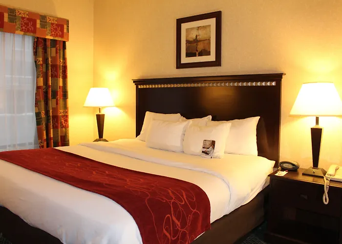 Comfort Suites Canton - Detroit