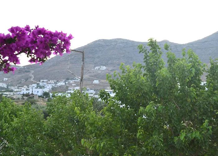 Brother'S Hotel Chora 