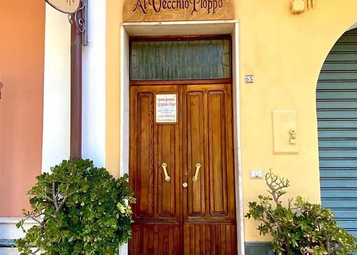 Bed and Breakfast Al Vecchio Pioppo Praia a Mare