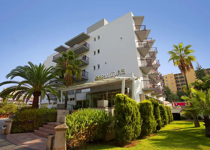 Fergus Bermudas Palmanova