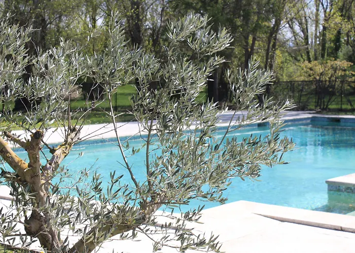Logis Hotel le Mas De Cure Bourse LʼIsle-sur-la-Sorgue