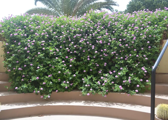 Hotel Livvo Risco Del Gato Suites Costa Calma