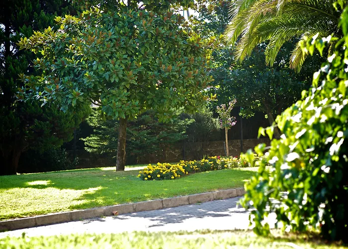 Hotel Sj Tondela