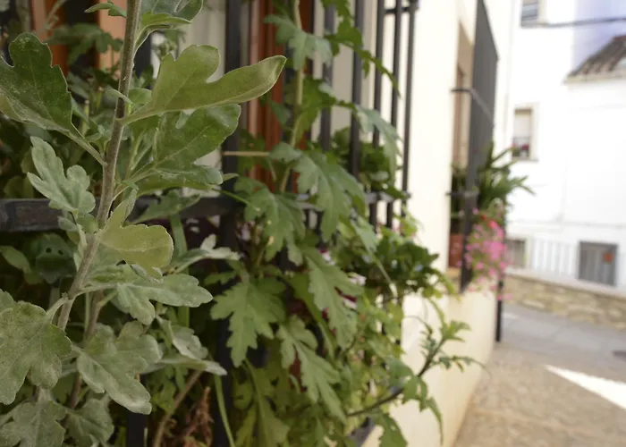 Hostal La Fonda Grupo Terra de Mar, alojamientos con encanto Benissa