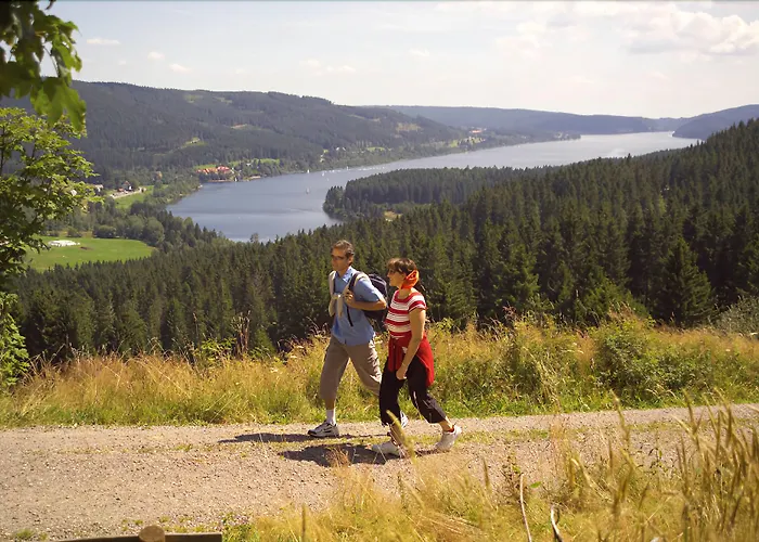 Bio- und Wellnesshotel Alpenblick Höchenschwand