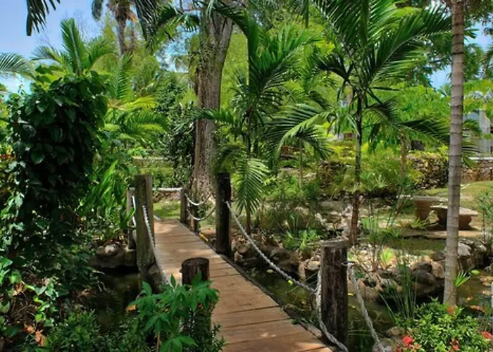 Hibiscus Lodge Hotel Ocho Rios