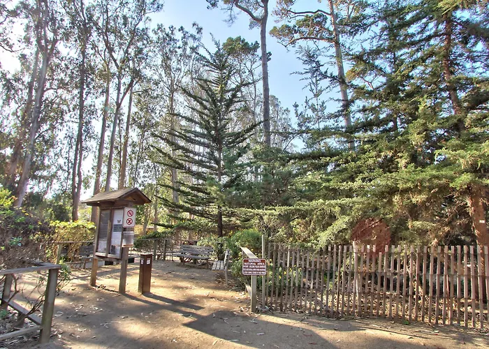 Butterfly Grove Inn