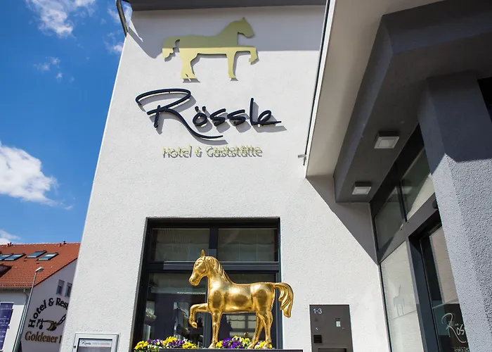 Hotel&Restaurant Goldener Pflug Ludwigsburg