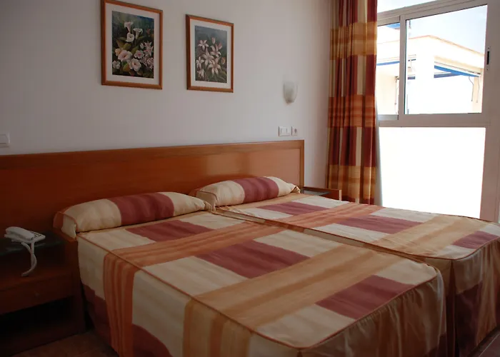 Hotel Mavi Gandía