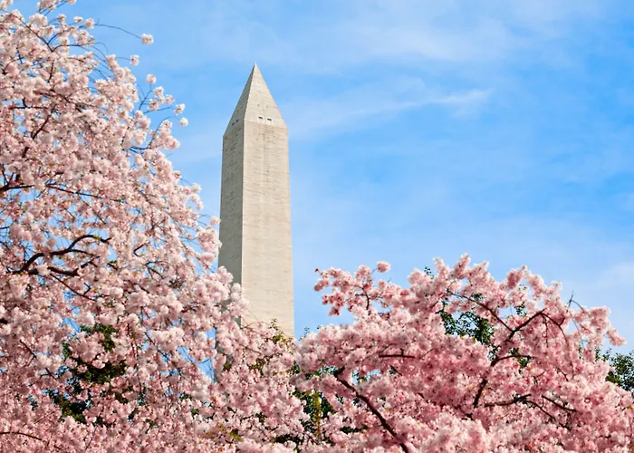 Hyatt Place Washington Dc/White House