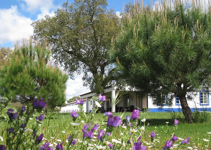 Monte Das Faias Cork Farm Hotel