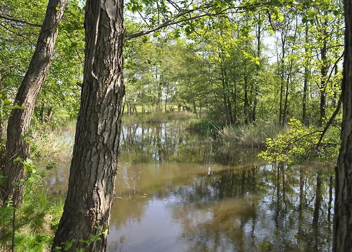 Hotel am Gothensee Ostseebad Heringsdorf
