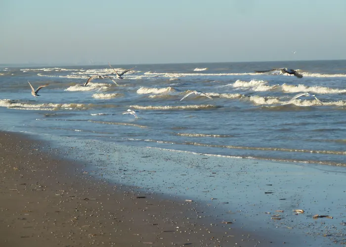 Nicolette Appartementen Katwijk aan Zee