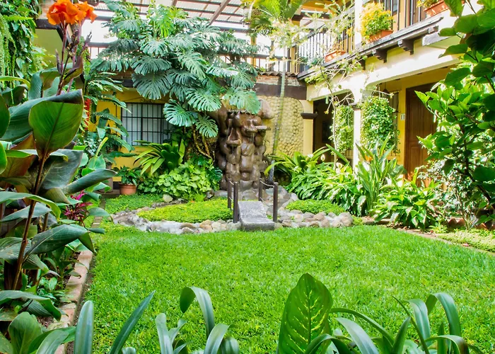Hotel Las Camelias Inn By Ahs