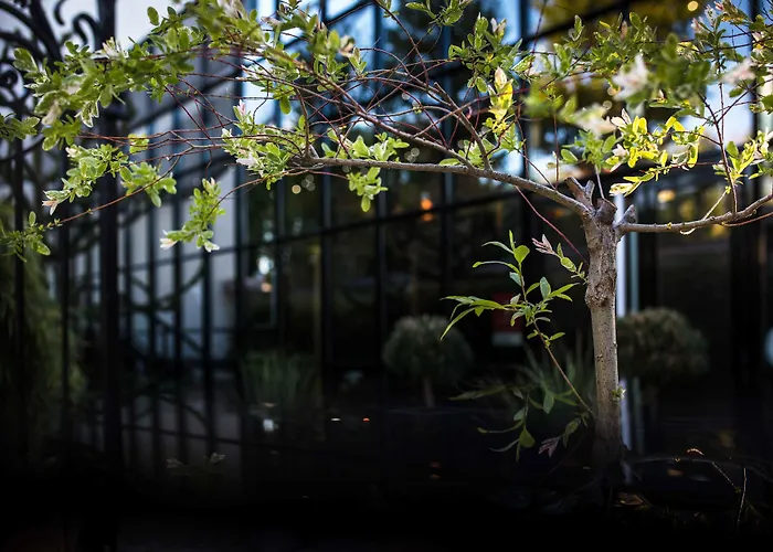 Maison Decoret Vichy