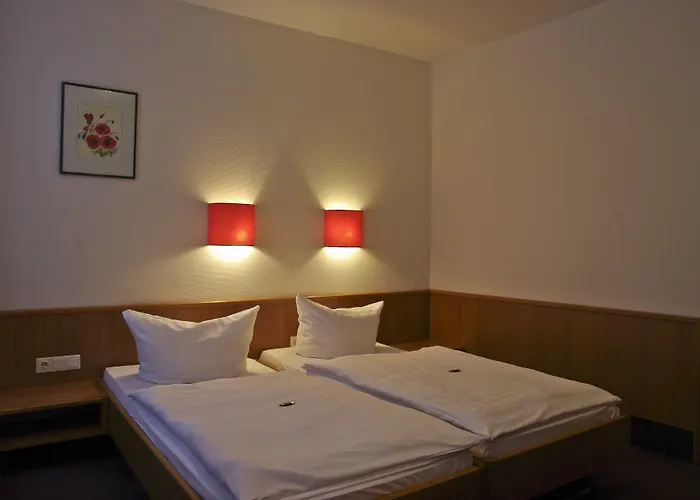 Hotel Park Eckersbach Zwickau
