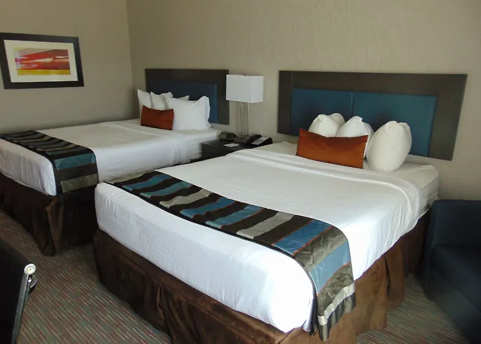 Wingate By Wyndham Lubbock Hotel
