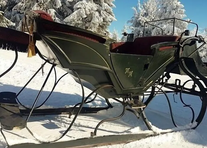 Hotel Fichtelberghütte Oberwiesenthal
