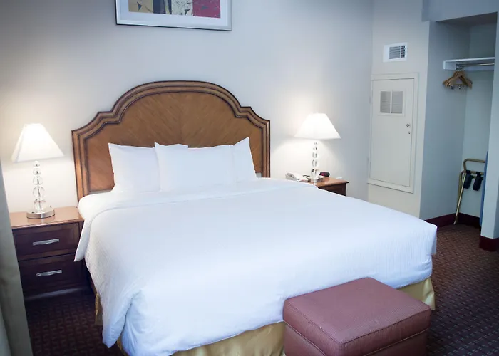 Hotel Clariana San José