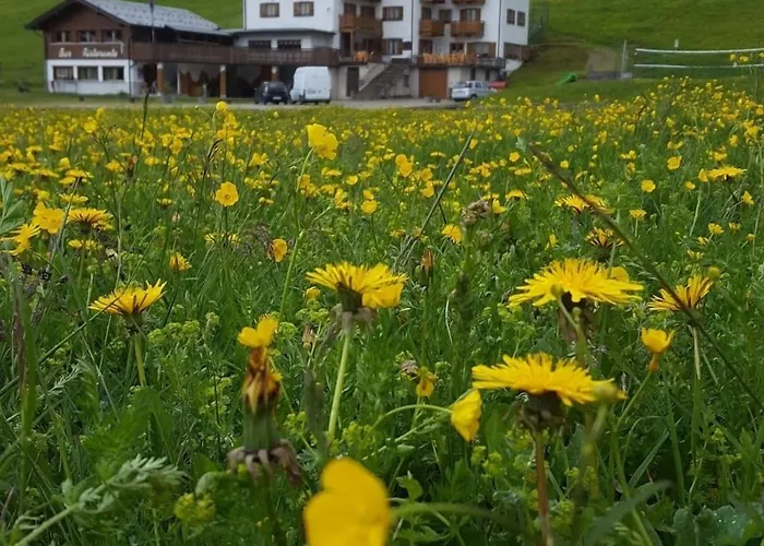 Albergo Bucaneve