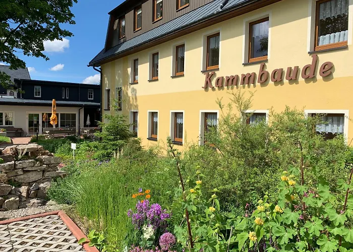 Hotel Dachsbaude&Kammbaude Kurort Seiffen/Erzgebirge
